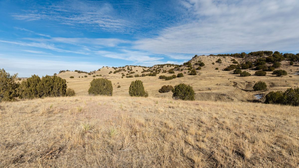 East Hatchet Ranch Lot 13 Whitetail Properties