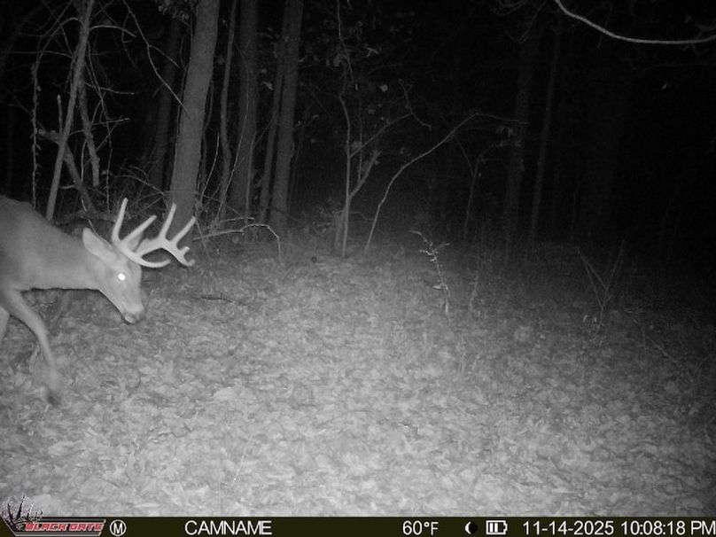 759B7A8A-86D9-4877-BAF7-31CB9B445F82