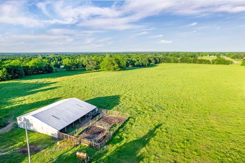 Fannin County- 134.4 acres-36