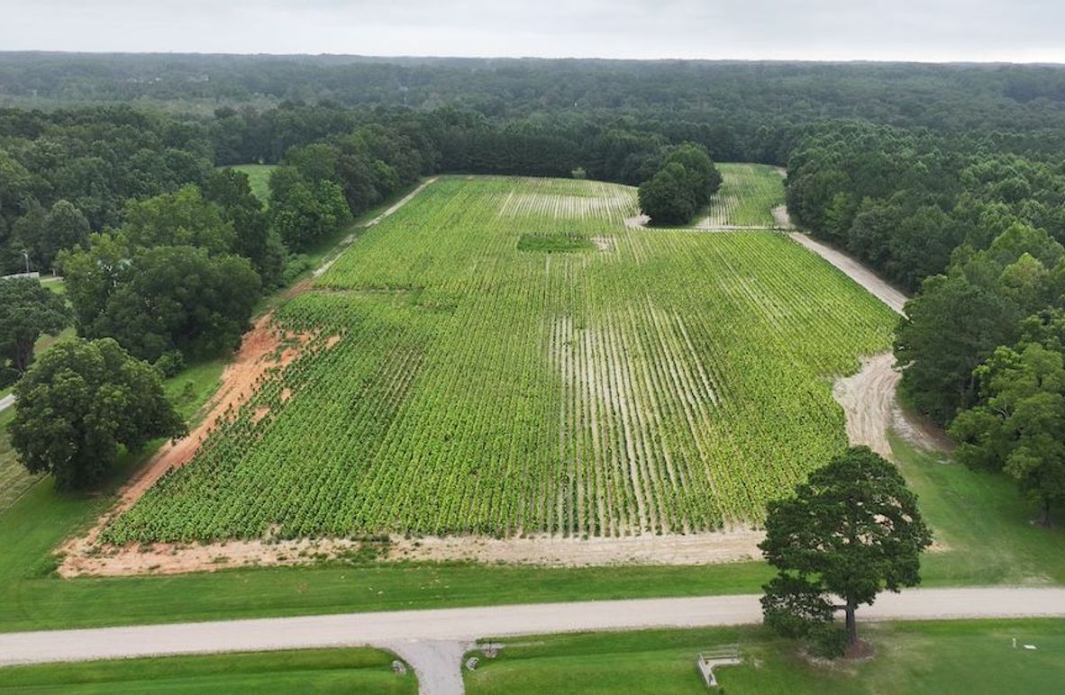 DJI_20250715001630_0147_D