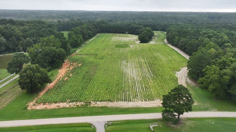 DJI_20250715001630_0147_D