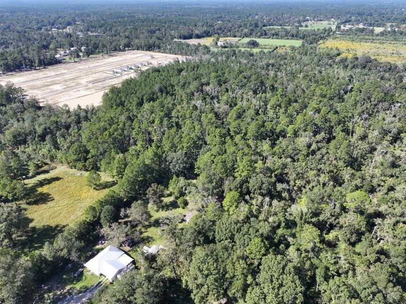 dji_fly_20251014_150310_0669_1760473194738_photo