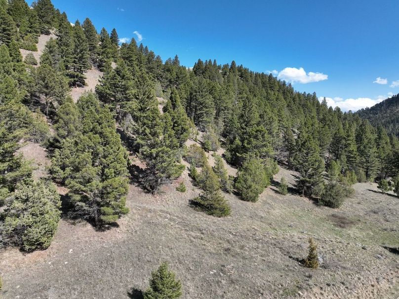 DJI_0996