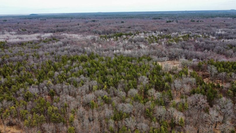 dji_fly_20250404_130014_740_1744067521206_photo_optimized 2