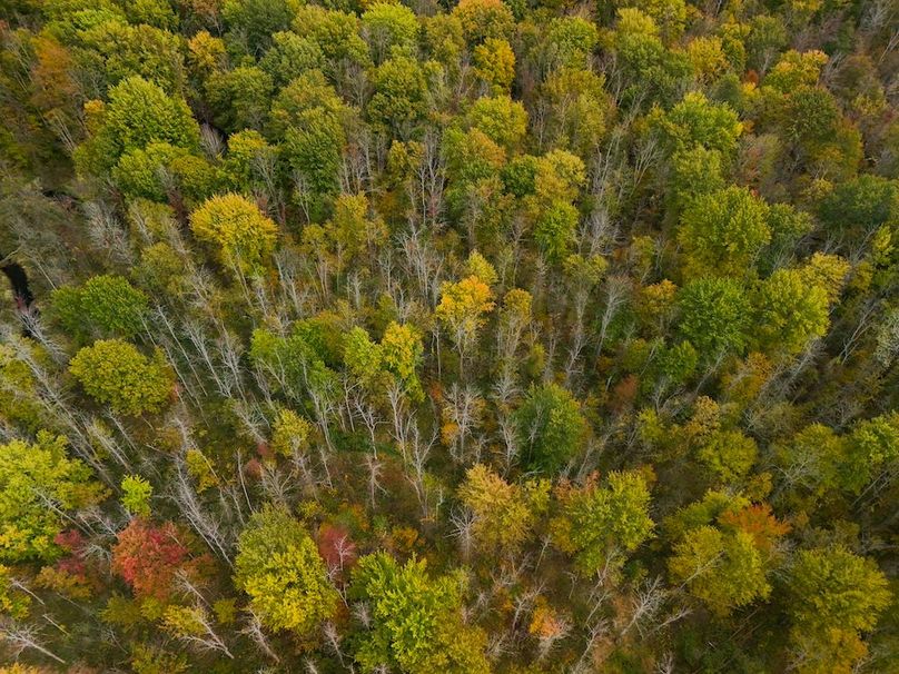 Wayne_29.09_BD_LandNorth_Parcel_16