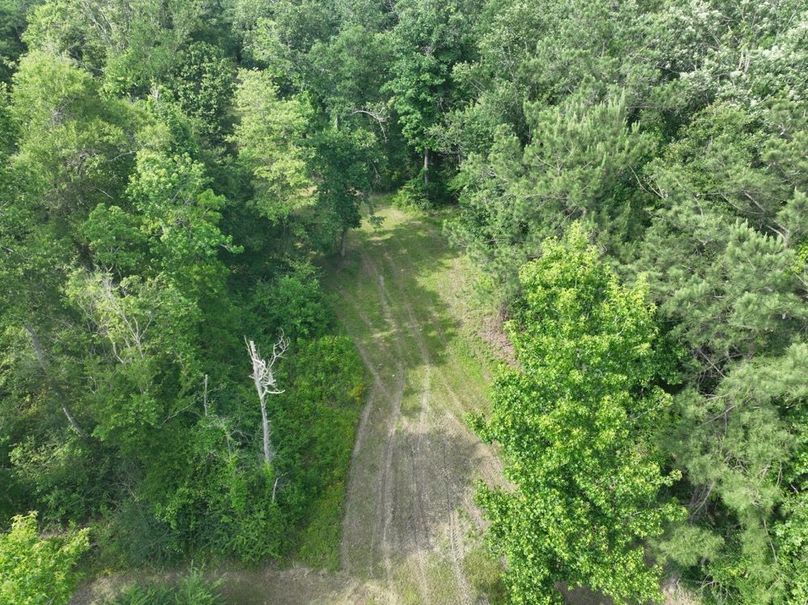 dji_fly_20250517_182416_205_1747959284959_photo