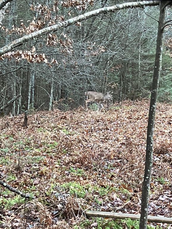 49605A7D-A5DE-4642-9836-D7CFFB03EA1E-Messages