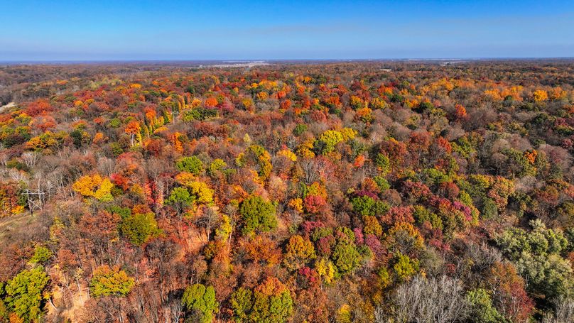 dji_fly_20231101_115312_0056_1698952443252_photo