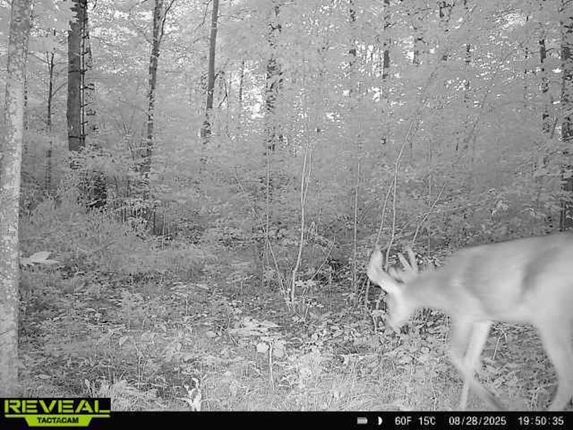 865814048154676-100-2-08282025195034-W1001327