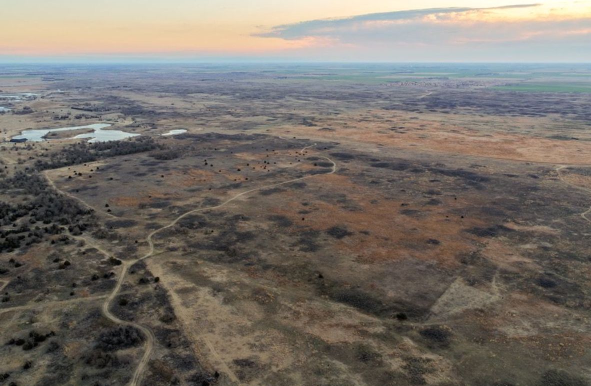 DJI_20260311080849_0501_D