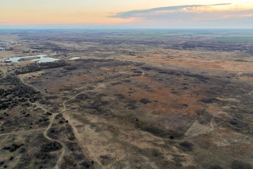 DJI_20260311080849_0501_D