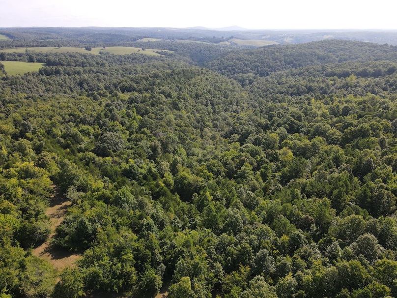 dji_fly_20240808_095414_305_1723128909129_photo