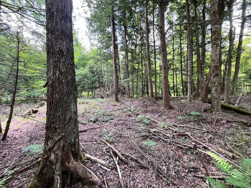 Oswego_133.72_Middleton_Photos_40