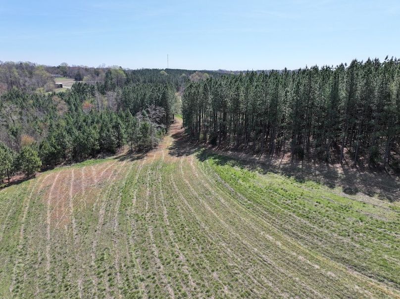 dji_fly_20260325_120934_0670_1774539237672_photo