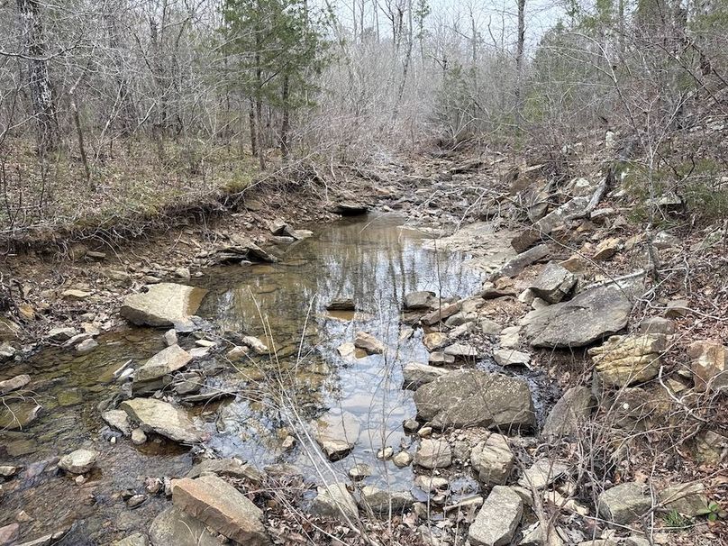 DJI_20260324_104227_416