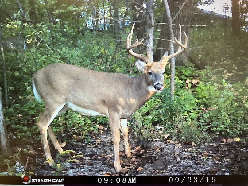 71008650174__9852A9D9-2BA0-4327-BEC2-C3CA4667DE7E