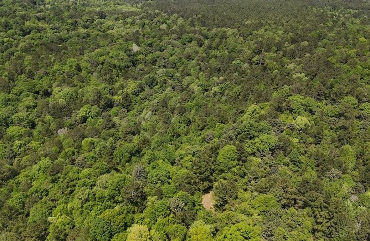 DJI_20250417120237_0003_D