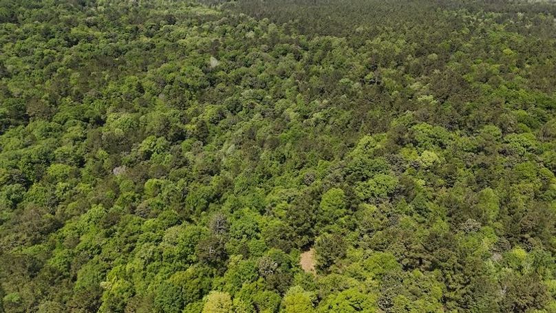 DJI_20250417120237_0003_D