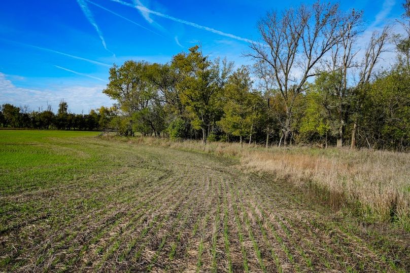 Dickinson Co, 154.5_044