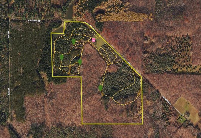 trails and food plots