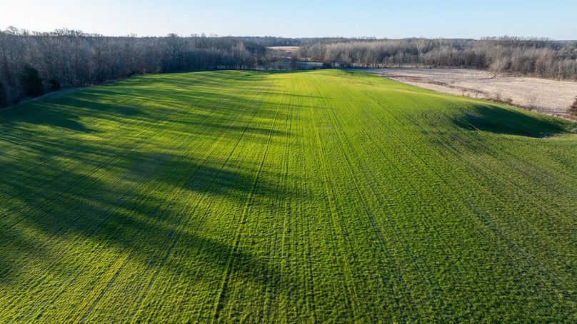 Copy of DJI_20260115081342_0031_D Large