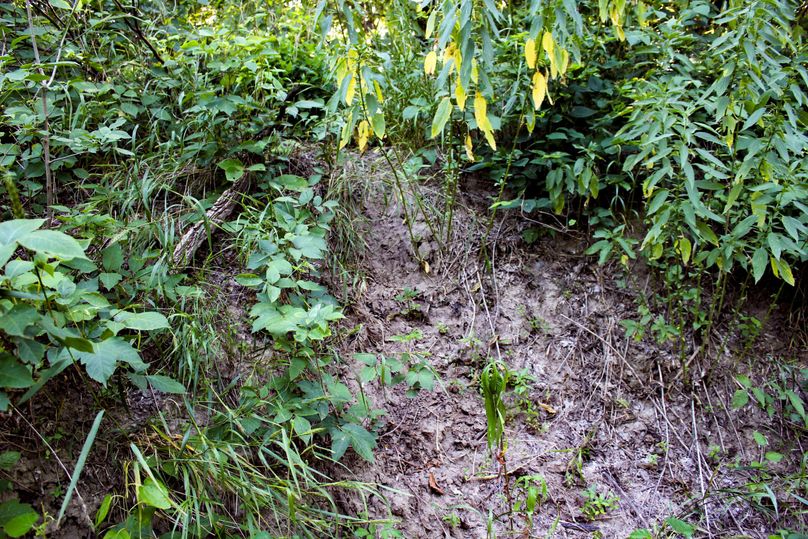 Ottawa, KS, 8.95_012