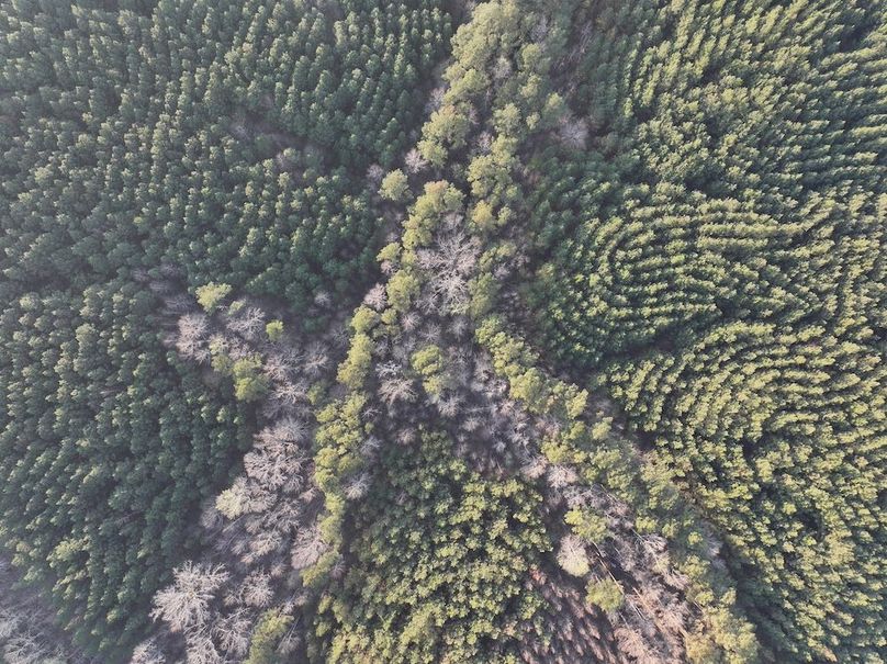 012FE - 83 Acres - Drone-9