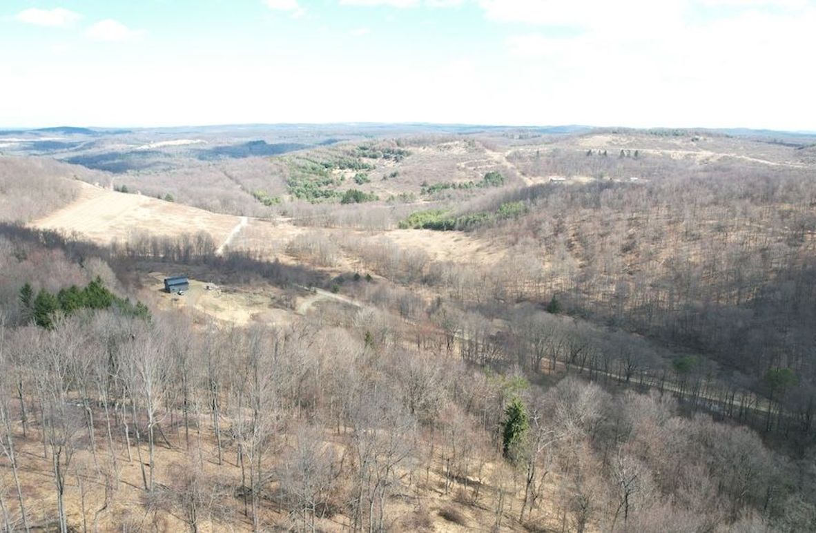 dji_fly_20250325_123156_33_1742920815216_photo