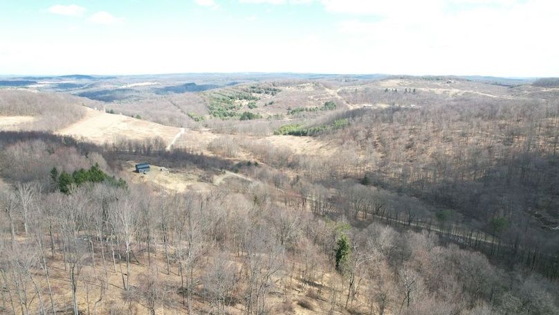 dji_fly_20250325_123156_33_1742920815216_photo