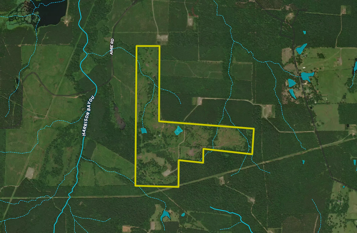 Screenshot 2025-10-11 at 11.09.06 AM