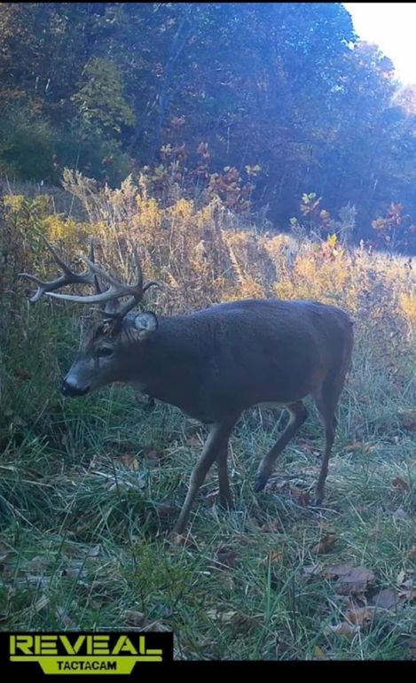 57FAE724-A92F-44D5-A735-1AC4B982081A_1_201_a