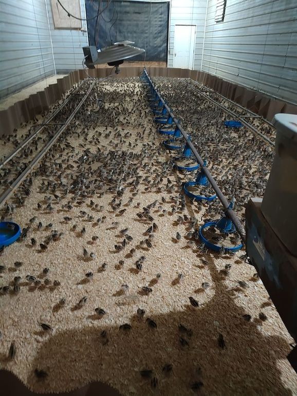 IMG_20250708_195629700