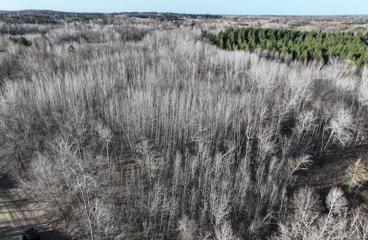 dji_fly_20250416_085832_0488_1744833048969_photo