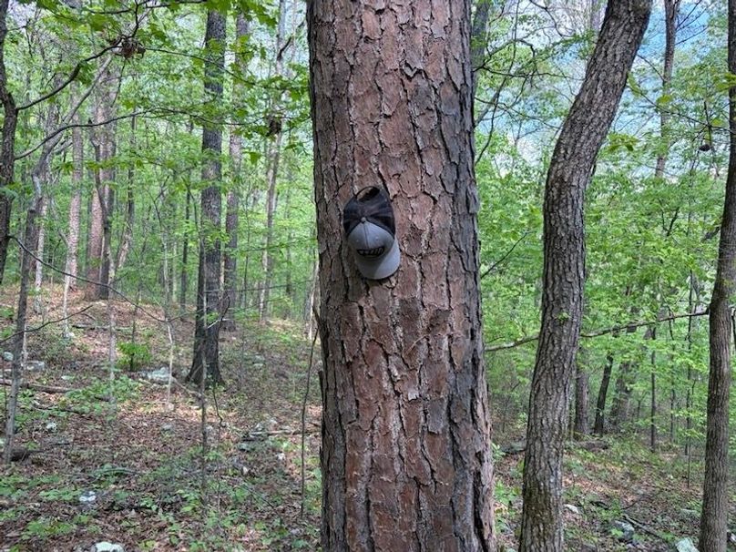 67F8B536-2D48-4307-AAFF-E83836EEF632_1_105_c