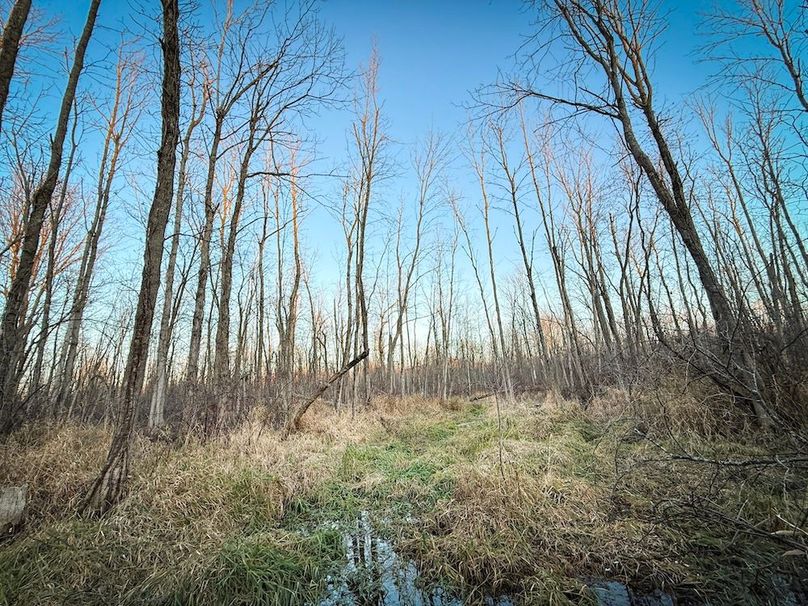 Wayne_29.09_BD_LandNorth_Parcel_26