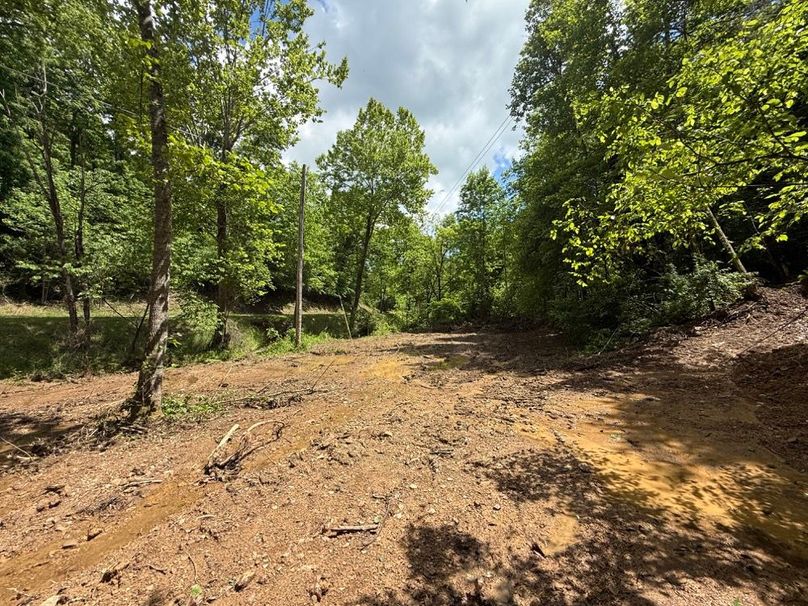 010 this spot is screaming for some gravel for a RV pad-2