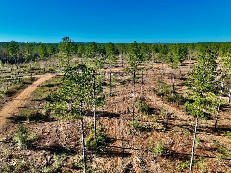 EF09E17C-151E-4630-8DA1-B5134BE4BF46_1_201_a