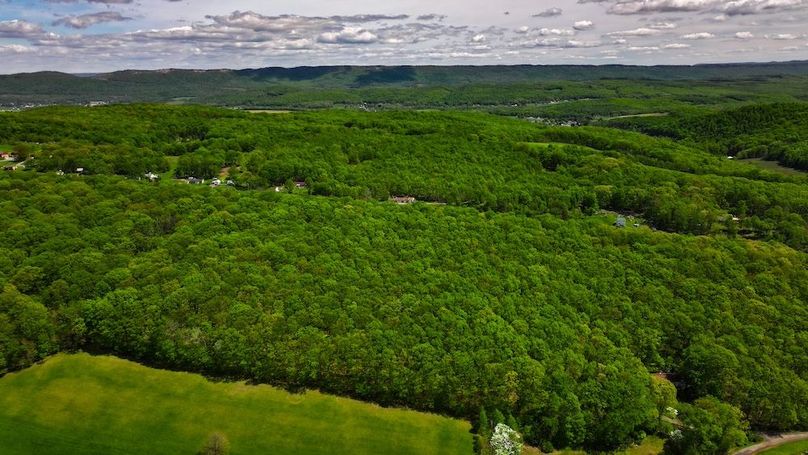 DJI_20250508022600_0110_D