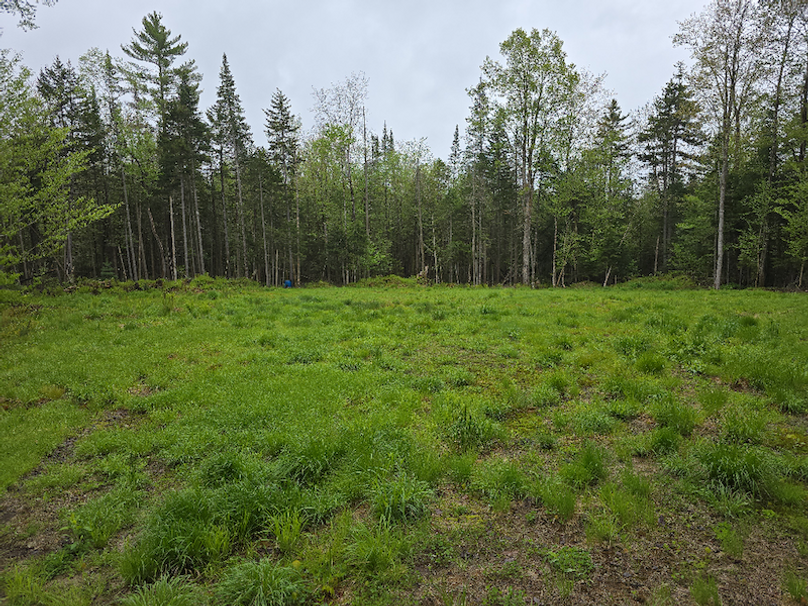 photo_8d1b9a53-b22e-4135-8ccf-9226de17b44c