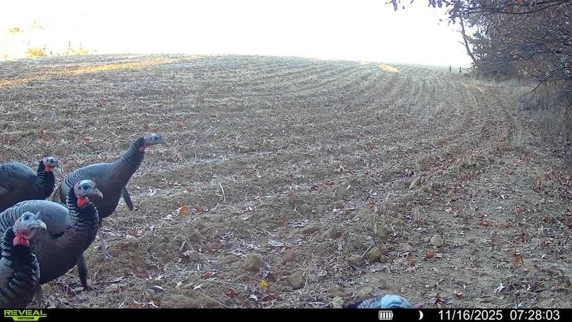 016579007464667-100-4-11162025072803-SYFW02861