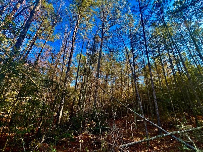 470306AC-DC91-4674-A54A-E7AB10CC006F_1_201_a