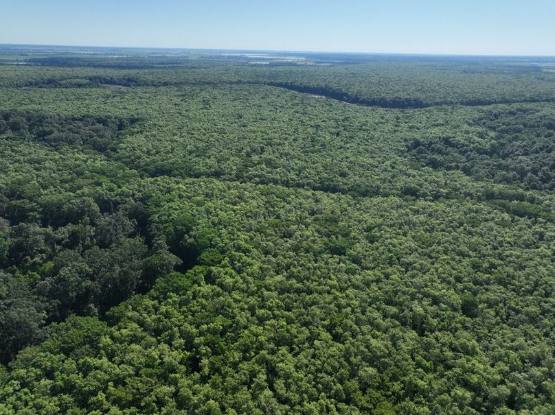 dji_fly_20260513_102012_436_1778687602481_photo