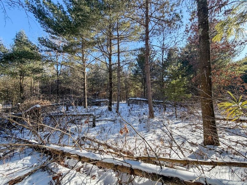 Monroe 68.2 - 113 of 120