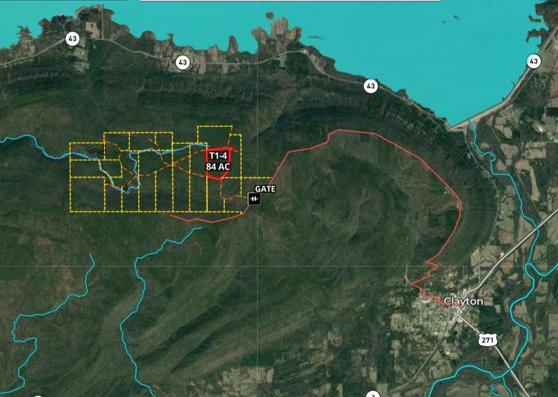 Screenshot 2022-07-02 080006