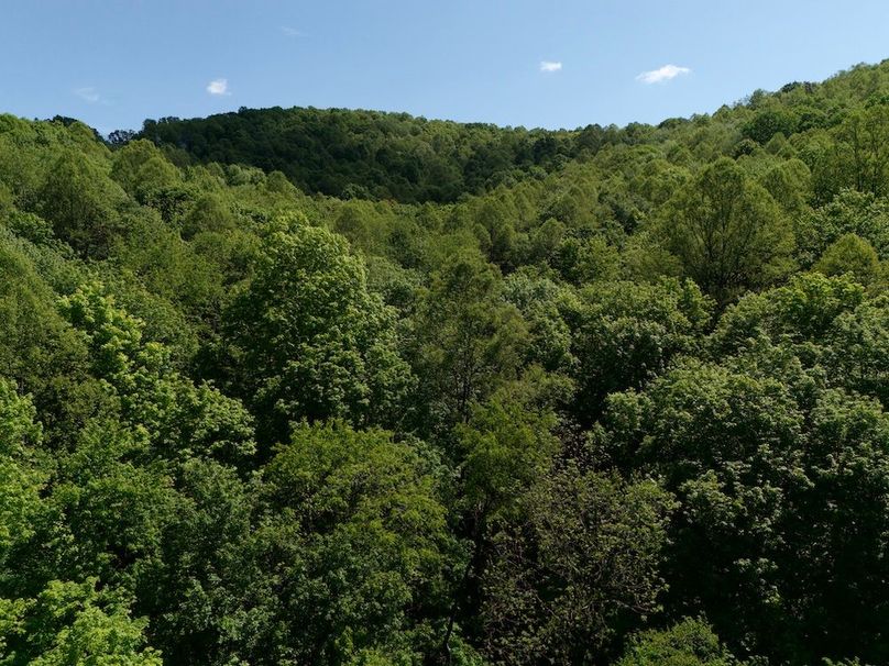 DJI_20250515092534_0272_D