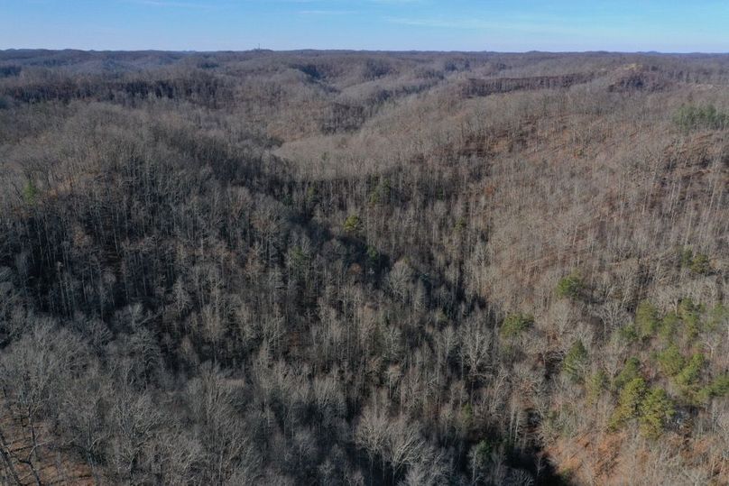 016 aerial drone shot from the middle of the property looking west through the low gap and west boundary
