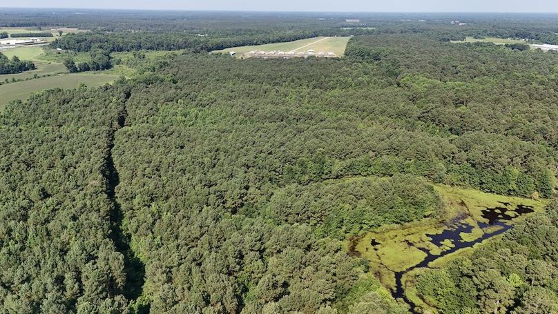 DJI_20250627095455_0109_D