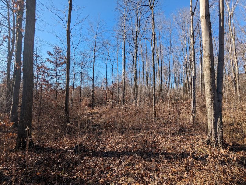 PXL_20231215_163207596