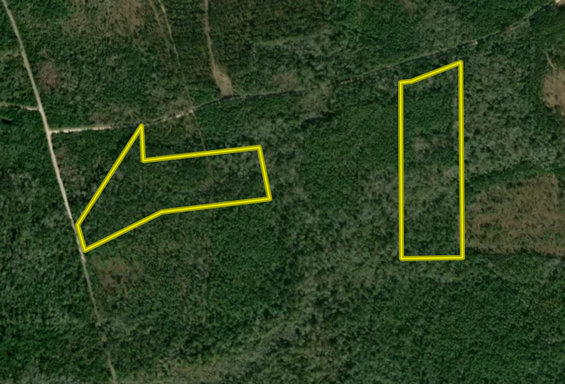 Screen Shot 2025-12-18 at 9.26.07 AM