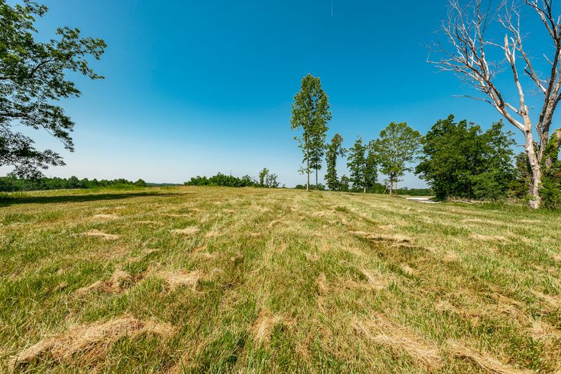 Moore Hollow-54